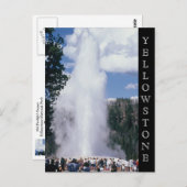 Yellowstone National Park Old Faithful Briefkaart (Voorkant / Achterkant)