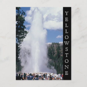Yellowstone National Park Old Faithful Briefkaart