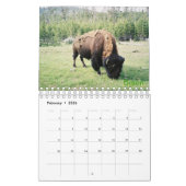Yellowstone National Park Photo Calendar Kalender (Feb 2026)