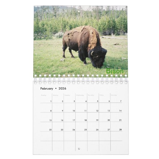 Yellowstone National Park Photo Calendar Kalender (Feb 2026)