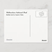 Yellowstone National Park Postcard Briefkaart (Achterkant)