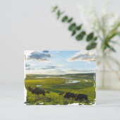 Yellowstone National Park Postcard Briefkaart (Staand voorkant)