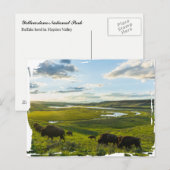 Yellowstone National Park Postcard Briefkaart (Voorkant / Achterkant)