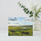 Yellowstone National Park Postcard Briefkaart (Staand voorkant)