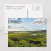 Yellowstone National Park Postcard Briefkaart (Voorkant / Achterkant)