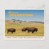 Yellowstone National Park Save the Date Briefkaart (Voorkant)