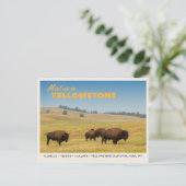 Yellowstone National Park Save the Date Briefkaart (Staand voorkant)