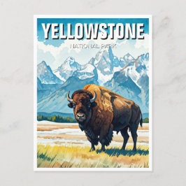 Yellowstone National Park Souvenir Briefkaart