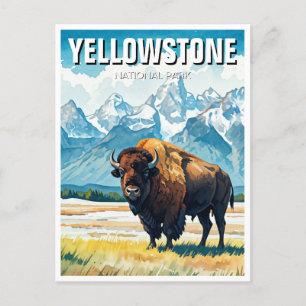 Yellowstone National Park Souvenir Briefkaart