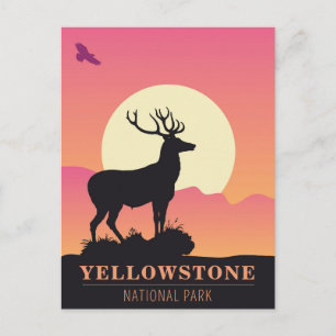  Yellowstone National Park Sunset Briefkaart