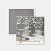 Yellowstone National Park, Verenigde Staten Magneet (Voorkant / Achterkant)