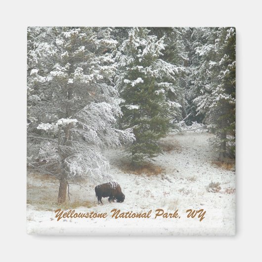 Yellowstone National Park, Verenigde Staten Magneet (Voorkant)