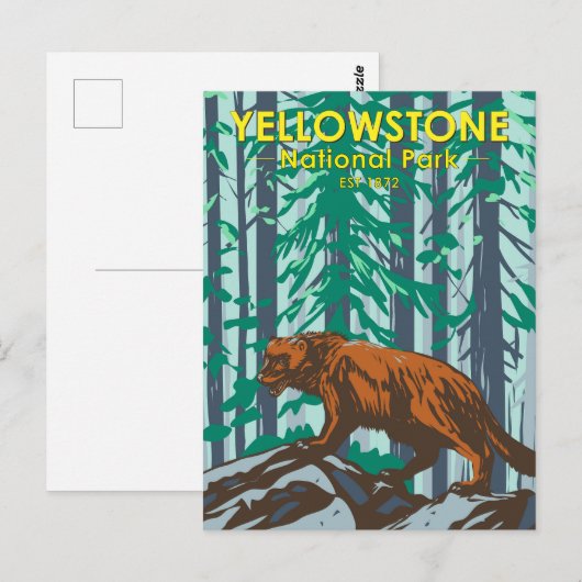Yellowstone National Park Wolverine  Briefkaart (Voorkant / Achterkant)