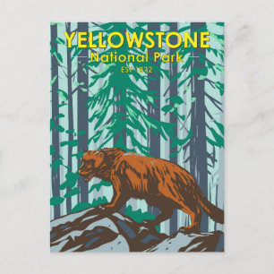 Yellowstone National Park Wolverine  Briefkaart