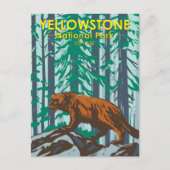 Yellowstone National Park Wolverine  Briefkaart (Voorkant)