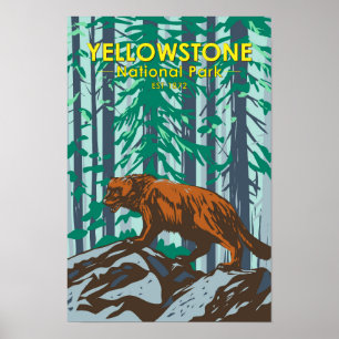 Yellowstone National Park Wolverine Poster