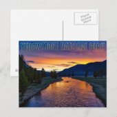 Yellowstone National Park Wyoming bij Sunset Strea Briefkaart (Voorkant / Achterkant)