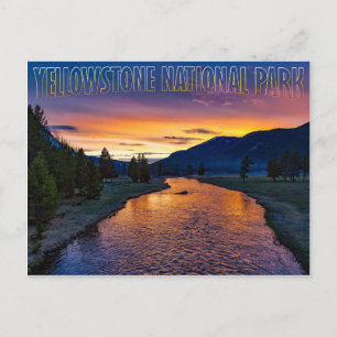 Yellowstone National Park Wyoming bij Sunset Strea Briefkaart