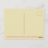 Yellowstone National Park Wyoming Briefkaart (Achterkant)