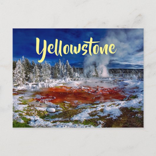 Yellowstone National Park Wyoming Briefkaart (Voorkant)
