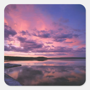Yellowstone National Park, Wyoming. Verenigde Stat Vierkante Sticker