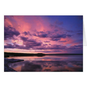 Yellowstone National Park, Wyoming. VS.