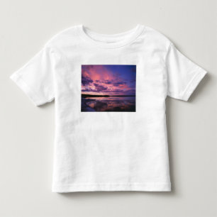 Yellowstone National Park, Wyoming. VS. Kinder Shirts