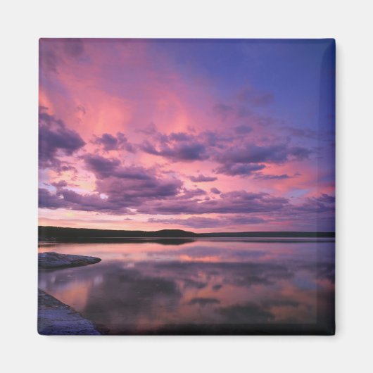 Yellowstone National Park, Wyoming. VS. Magneet (Voorkant)