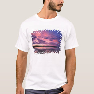 Yellowstone National Park, Wyoming. VS. T-shirt