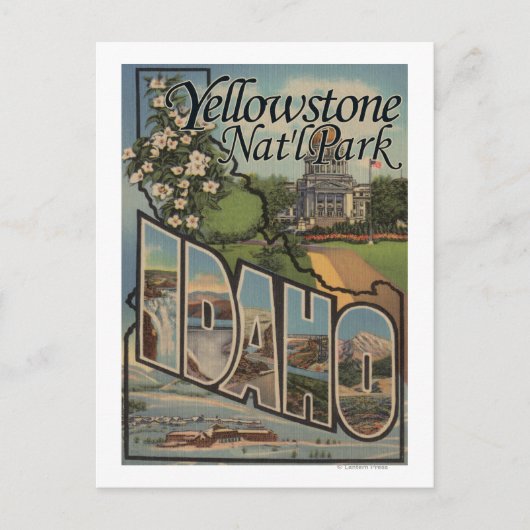 Yellowstone Nat'l Park, Idaho Briefkaart (Voorkant)