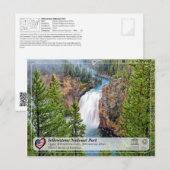 Yellowstone NP - Bovenste geelsteen Herfsten Briefkaart (Voorkant / Achterkant)