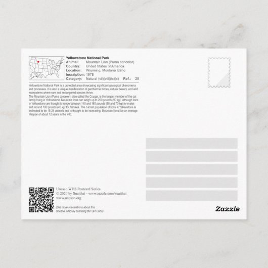 Yellowstone NP - Mountain Lion (Cougar) Briefkaart (Achterkant)