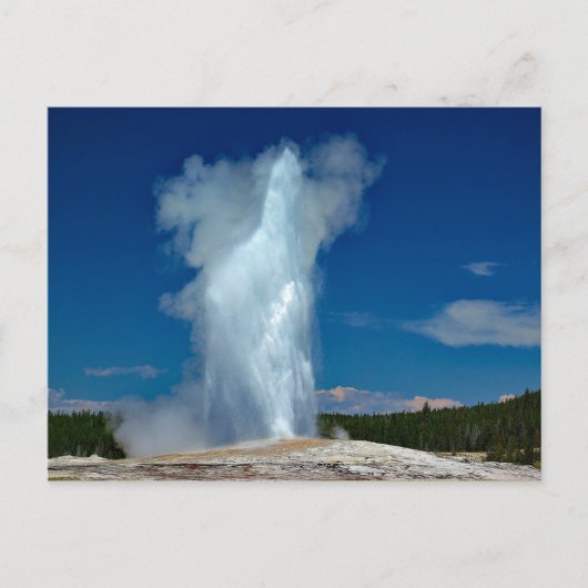 Yellowstone Old Faithful Landscape Foto Briefkaart (Voorkant)