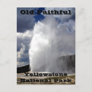 Yellowstone Old Faithful Postcard Briefkaart