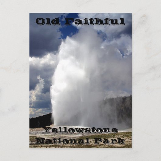 Yellowstone Old Faithful Postcard Briefkaart (Voorkant)