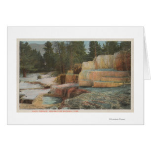 Yellowstone, overzicht van Angel Terrace