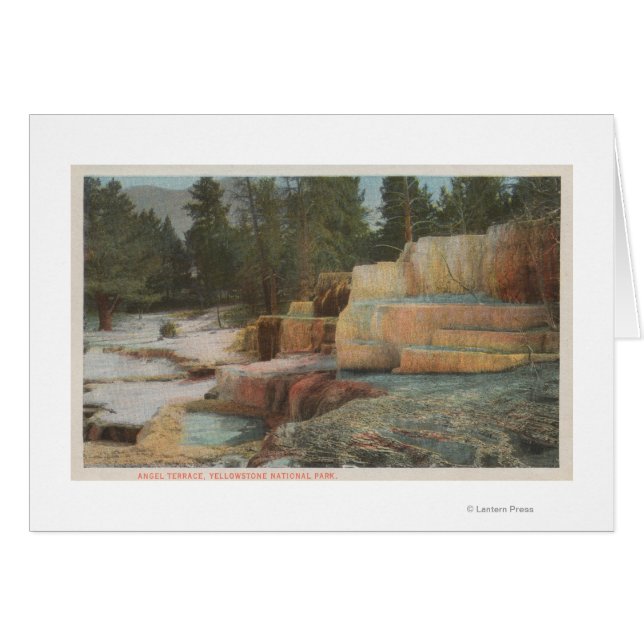 Yellowstone, overzicht van Angel Terrace (Voorkant Horizontaal)