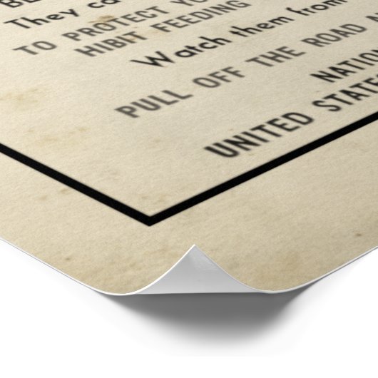 Yellowstone Park 1959, gevaarlijk Beer Poster (Hoek)