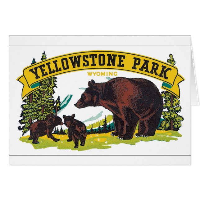 Yellowstone Park Wyoming (Voorkant Horizontaal)