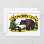 Yellowstone Park Wyoming Briefkaart (Voorkant / Achterkant)