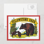  Yellowstone Park Wyoming USA Briefkaart (Voorkant / Achterkant)