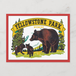  Yellowstone Park Wyoming USA Briefkaart