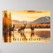 Yellowstone Poster Art (Voorkant)
