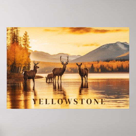 Yellowstone Poster Art (Voorkant)