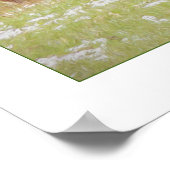 Yellowstone Poster met bizon en kalf (Hoek)