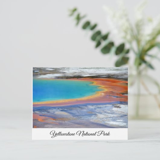 Yellowstone Prismatic Spring Wyoming Post Card Briefkaart (Staand voorkant)