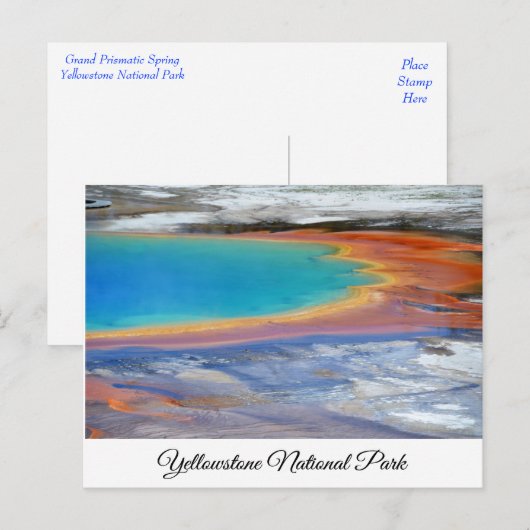 Yellowstone Prismatic Spring Wyoming Post Card Briefkaart (Voorkant / Achterkant)