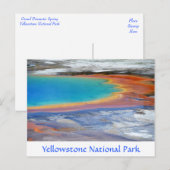 Yellowstone Prismatic Spring Wyoming Post Card Briefkaart (Voorkant / Achterkant)