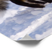 Yellowstone Red Fox Poster (Hoek)