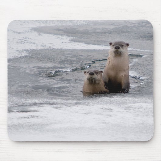 Yellowstone River Otters Muismat (Voorkant)